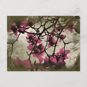 Schokolade Himbeeren-Blossom Zweige Postkarte