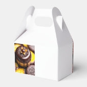 Schokolade & Karamelllschokolade Geschenkschachtel (Rückseite)