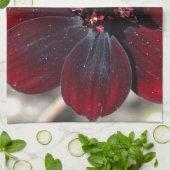 Schokolade Kosmos-Blume Handtuch (Gefaltet)