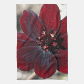 Schokolade Kosmos-Blume Handtuch (Vertikal)