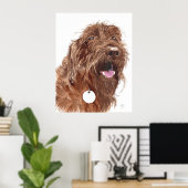 Schokolade Labradoodle #1 Canvas-Druck Poster (Heimbüro)