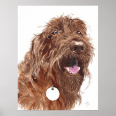 Schokolade Labradoodle #1 Canvas-Druck Poster (Vorne)