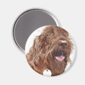 Schokolade Labradoodle #1 Magnet (Vorderseite/Rückseite)