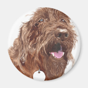 Schokolade Labradoodle #1 Magnet