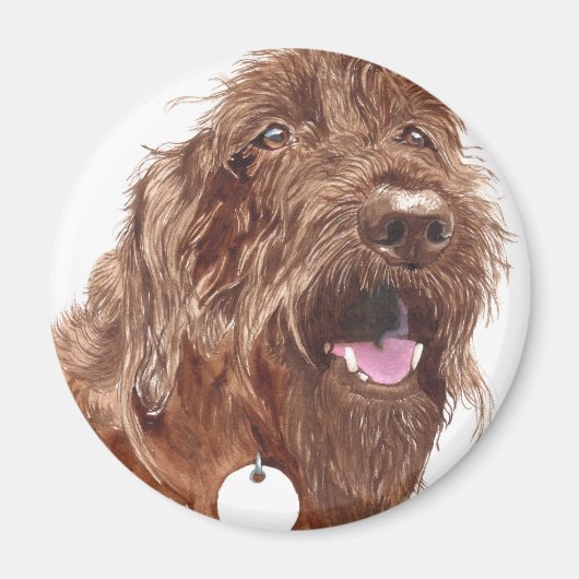 Schokolade Labradoodle #1 Magnet (Vorne)