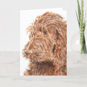 Schokolade Labradoodle #2 Gruß-Karte Karte