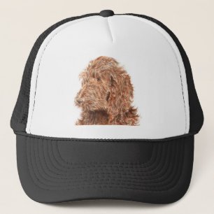Schokolade Labradoodle #2 Kappe