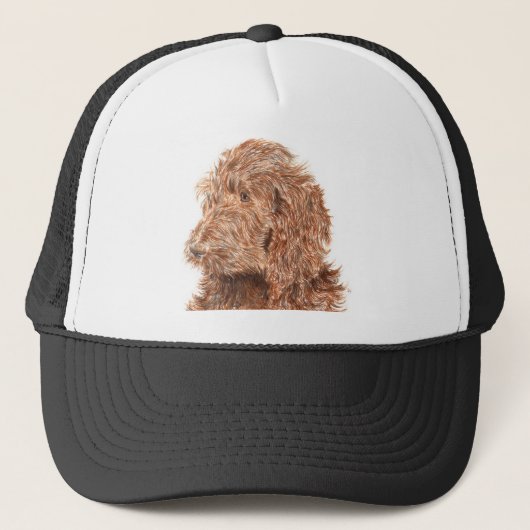 Schokolade Labradoodle #2 Kappe (Vorderseite)