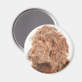 Schokolade Labradoodle #2 Magnet (Vorderseite/Rückseite)