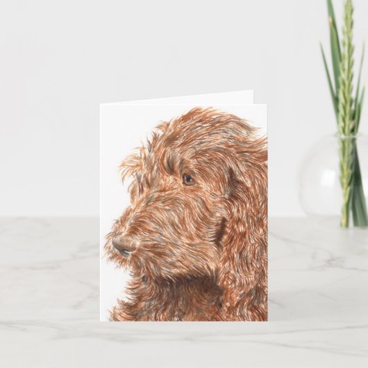 Schokolade Labradoodle #2 Notecard Karte (Vorderseite)