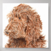 Schokolade Labradoodle #2 Print Poster (Vorne)