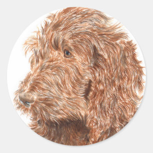 Schokolade Labradoodle #2 runde Aufkleber