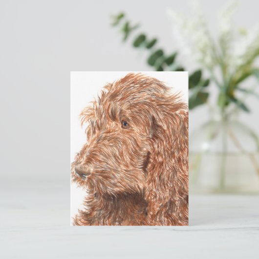 Schokolade Labradoodle Postkarte (Stehend Vorderseite)