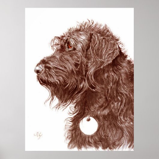 Schokolade Labradoodle Print Poster (Vorne)
