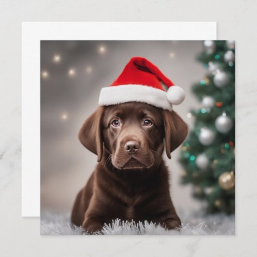 Schokolade Labrador (Vorne/Hinten)