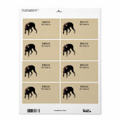 Schokolade Labrador (Vorne)