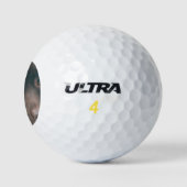 Schokolade-Labrador-14 Golfball (Logo)