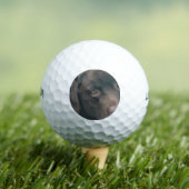 Schokolade-Labrador-14 Golfball (Insitu T-Shirt)