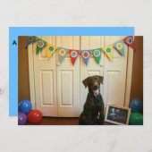 Schokolade Labrador 1. Geburtstag Party Einladung (Vorne/Hinten)