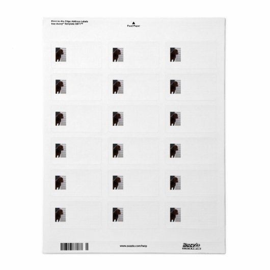 Schokolade-Labrador Adressaufkleber (Vorne)