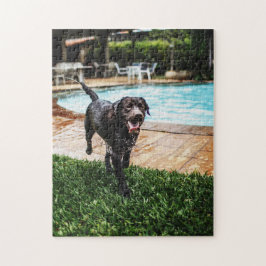 Schokolade Labrador am Pool Puzzle