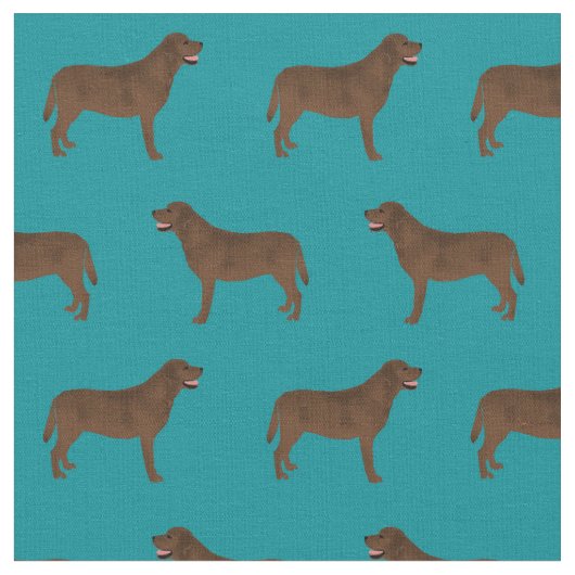 Schokolade Labrador aquamarin Stoff (Nahaufnahme)