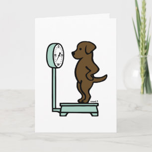 Schokolade Labrador auf Skala Karte