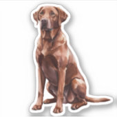 Schokolade Labrador Aufkleber (Vorderseite)