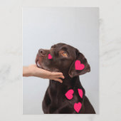 Schokolade Labrador Bar Menükarte (Rückseite)