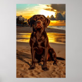 Schokolade Labrador bei Sunset Poster (Vorne)