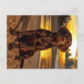 Schokolade Labrador bei Sunset Postkarte (Vorderseite)