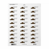 Schokolade Labrador beobachtet Rücksendeadresse (Vorne)