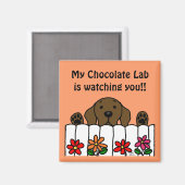 Schokolade Labrador beobachtet Sie Magnet (Vorderseite/Rückseite)
