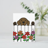 Schokolade Labrador beobachtet Sie Postkarte (Stehend Vorderseite)