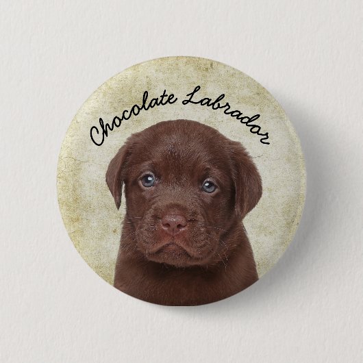 Schokolade Labrador Button (Vorderseite)