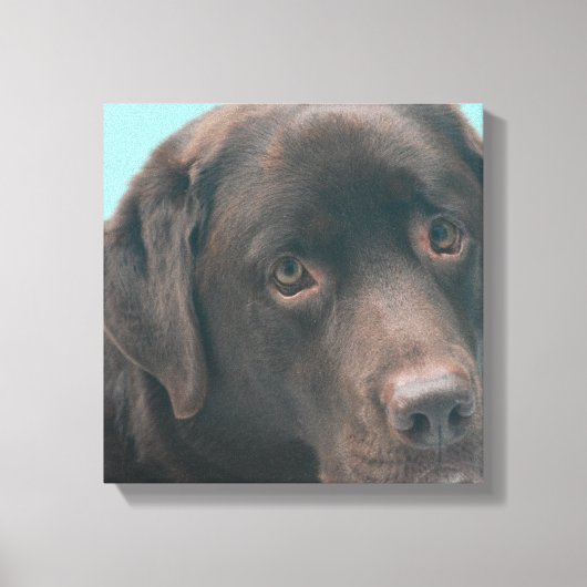 Schokolade Labrador Dog Canvas drucken Leinwanddruck (Vorderseite)