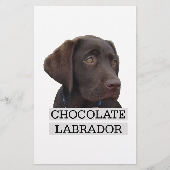 Schokolade Labrador Einzigartiges Design! (Vorderseite)