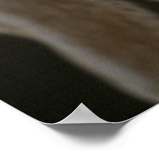 Schokolade Labrador Eyes Poster (Ecke)