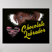 Schokolade Labrador Eyes Solide Farbe Poster (Vorne)