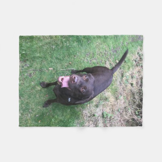 Schokolade Labrador Fleece (Vorderseite (Horizontal))