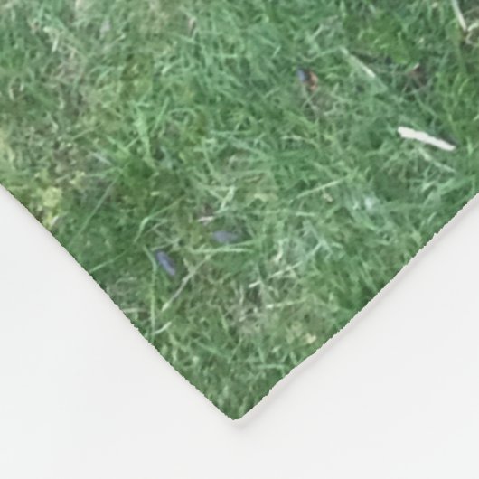 Schokolade Labrador Fleece (Ecke)