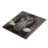 Schokolade Labrador Fliese (Seite)