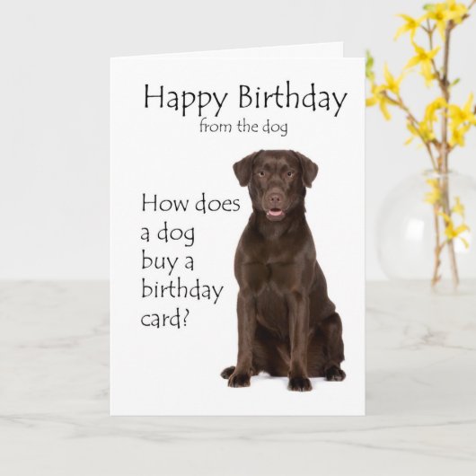 Schokolade Labrador Geburtskarte Karte (Gelbe Blume)