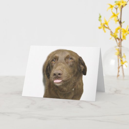 Schokolade Labrador Geburtskarte Karte (Gelbe Blume)