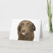 Schokolade Labrador Geburtskarte Karte (Vorderseite)