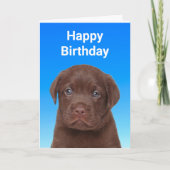 Schokolade Labrador Geburtstag Karte (Vorderseite)