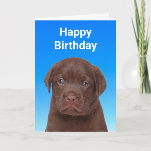 Schokolade Labrador Geburtstag Karte (Vorderseite)