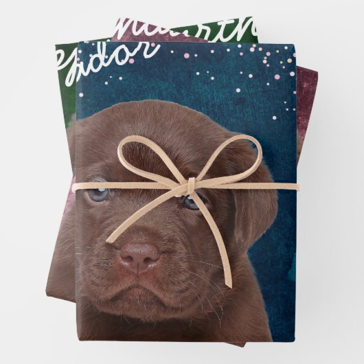 Schokolade Labrador Geschenkpapier Set (Beispiel)