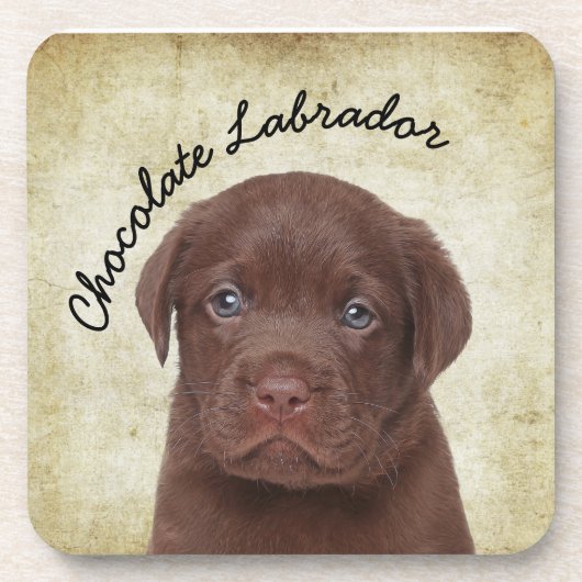 Schokolade Labrador Getränkeuntersetzer (Vorderseite)