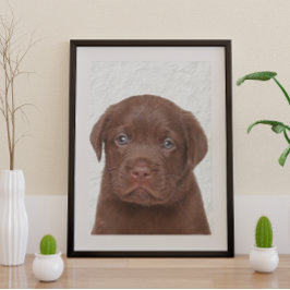 Schokolade Labrador Glossy Poster